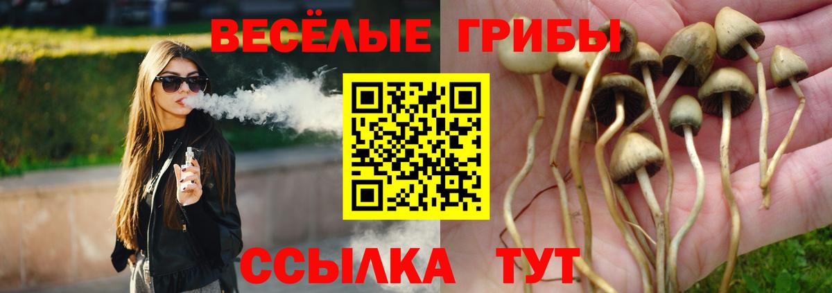 Псилоцибиновые грибы Psilocybe  Галлюциногенные грибы Psilocybine cubensis  как найти закладки  Вход с VPN  Йошкар-Ола 