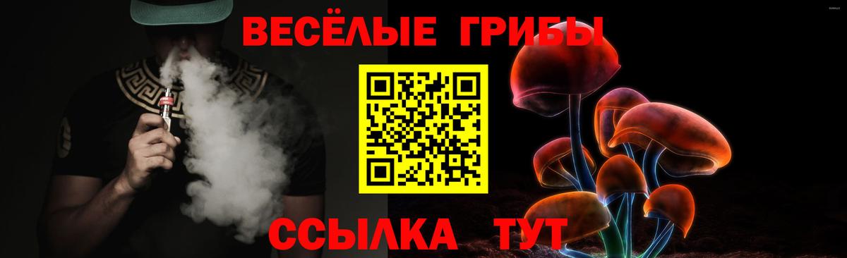 Галлюциногенные грибы Psilocybe Йошкар-Ола
